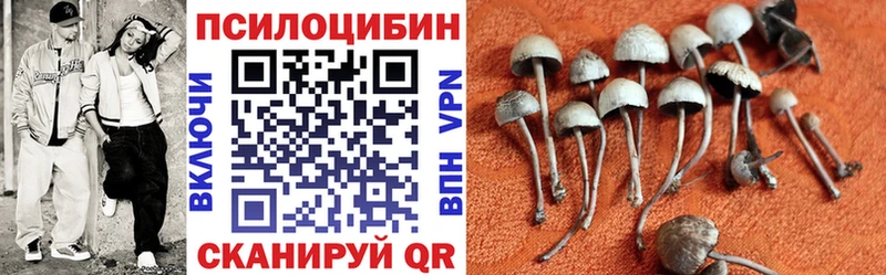Галлюциногенные грибы прущие грибы  где найти наркотики  Жуковка 